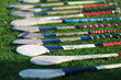 A bunch of camogie hurleys lined up on the grass