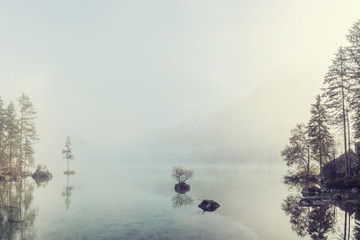 Wall Mural - autumn andscape with foggy lake