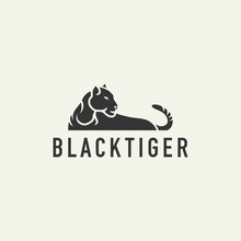 Tiger Logo Sign - Design Vector Illustration Of A Light Background