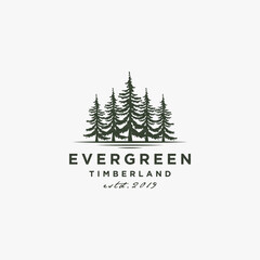 Wall Mural - Rustic Retro Vintage Evergreen, Pines, Spruce, Cedar trees logo design inspiration