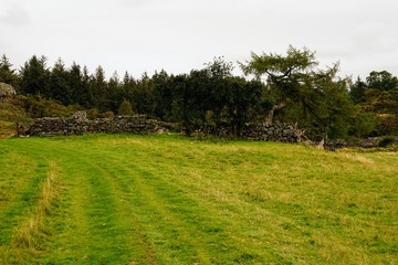 Wall Mural - Farm Land Pasture Meadow with Hay