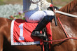 Horse racing  jockey in saddle details