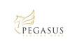 Line art Pegasus Horse Logo Icon Vector Inspiration