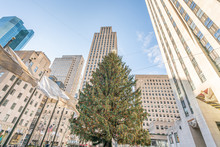 New York City, NY, USA - December, 25th, 2018 - Christmas Morning At The Wonderful Ice Skating Rink Decorated With The Huge Christmas Tree At Rockefeller Center.