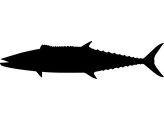 Wall Mural - King Mackerel Fish Silhouette Vector