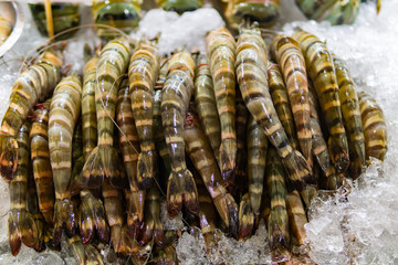 Raw shrimps on ice cubes.ready to make seafood.seafood at the market