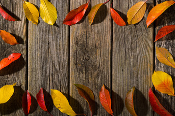 Canvas Print - autumn leaves frame on old weathered wooden table background