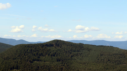 Poster - Les bois et les montagnes