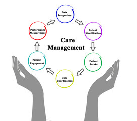 Sticker - Six Components of Care Management.