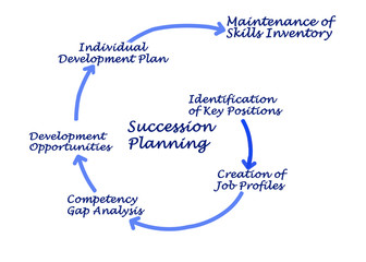 Wall Mural - Six Steps in Succession Planning.