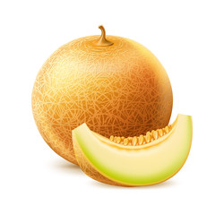 Wall Mural - Vector realistic round fresh melon with slice