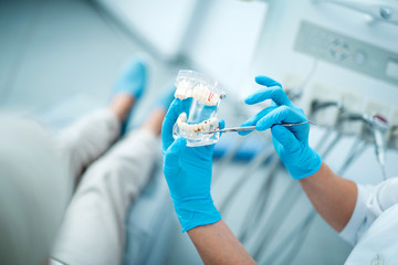 Wall Mural - Close up of doctor showing jaw model