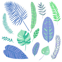 Wall Mural - set of abstract tropical leaves, flat design