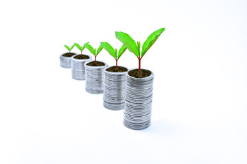 Coins are arranged in rows and stacked in a pile. There are young shoots of growing trees. This picture shows the growing finances, with white background