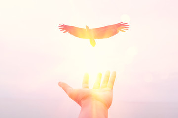 Wall Mural - Freedom and feel good concept. Man hand open and eagle bird fly on sunset abstract background.