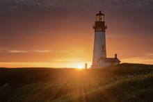 Yaquina Head Lighthouse At Sunset