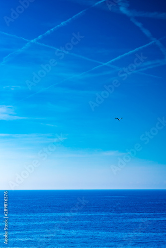 Phone Wallpaper With Sea And Sky View Portofino Italy Buy