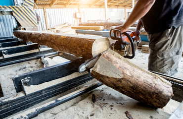 Wall Mural - Woodcutter cutting tree with chainsaw on sawmill. Modern sawmill. Industry sawing boards from logs.