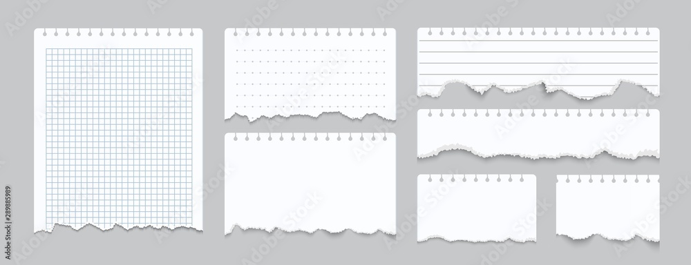 Torn notebook papers. Realistic blank gridded notebook ripped out papers. Vector illustration white paper sheets of square with cell horizontal line and perforation on gray background - obrazy, fototapety, plakaty 