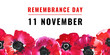 Remembrance day design concept. Poppy flowers in a row on the bottom of the page and title. Hand drawn watercolor sketch illustration
