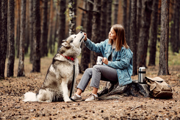 Young Girl with her Dog, Alaskan Malamute, Outdoor at Autumn. Domestic pet