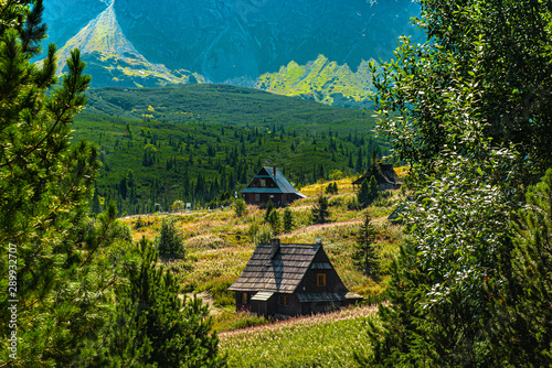 Obrazy Dolina Gąsienicowa  hala-gasienicowa-tatry-sierpien-2019