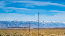 Utility Poles In The Desert
