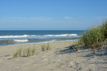 Empty Beach And Dune Grass On The Outer Banks Of North Carolina
