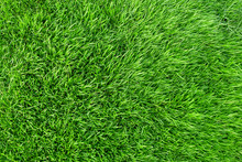 Green Grass Texture For Background. Green Lawn Pattern And Texture Background.