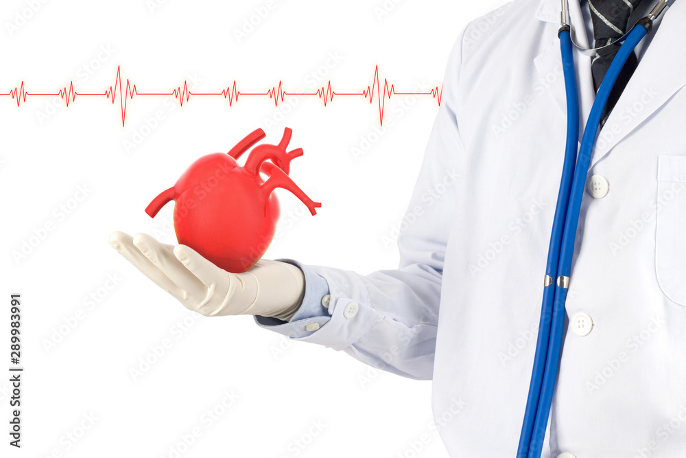 doctor hold heart show signel heart beat, cardiology symptoms , 3D concept	 - obrazy, fototapety, plakaty 