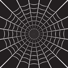 Spider web or cobweb. Halloween net background. Vector illustration.
