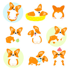 Wall Mural - Set of cute corgi