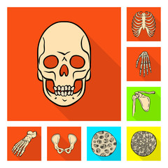 Vector illustration of bone and skeleton sign. Collection of bone and human stock symbol for web.