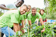 © Robert Kneschke - Team volunteer with many plants