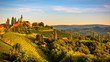 Autumn Landscape panorama of vineyard on an Austrian countryside during sunset in Kitzeck im Sausal