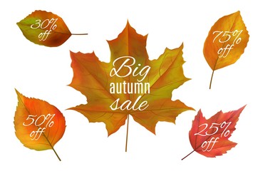 Sticker - Autumn sale. Fall leaves banners. Realistic vector autumn leaf with sale prices. Yellow and red foliage isolated on white background. Fall sale, autumn discount illustration