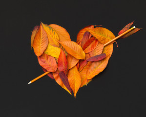 Poster - Boom of pencil inside heart of fallen leaves on black