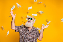 Portrait Of Crazy Funky Funny Old Bearded Man Hipster In Green Eyeglasses Eyewear Look Up At Money Falling Scream Win Lottery Wear Leopard Stylish Shirt Isolated Over Yellow Background