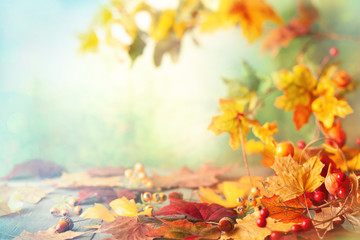 Wall Mural - thanksgiving or autumn scene with leaves and berries on wooden table. autumn background with falling