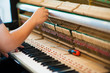 © Pissanu - Piano technician  is checking the piano for the customer.Internal parts of the piano