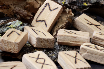 Wall Mural - Wooden runes, the ancient alphabet, are scattered on the bark of a tree. Runic concept