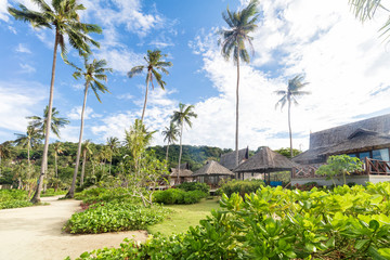 Wall Mural - Empty sunny Phi-Phi island Beach with tall palms and beach bungalows