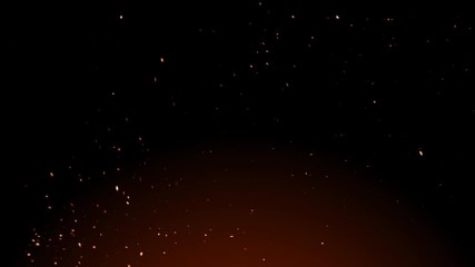 Wall Mural - burning embers glowing. fire glowing particles on black background