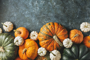 Wall Mural - different pumpkins on a green surface.