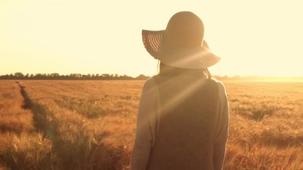 Poster - back view woman standing in golden wheat field sunny morning in rural area