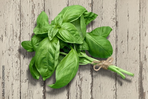 Fotomural Green basil leaves on wooden background