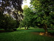 Grüner Rasen mit alten Bäumen im Sommer gegen Abend im Günthersburgpark im Nordend von Frankfurt am Main in Hessen