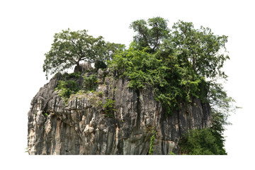 rock mountain hill with  green forest isolate on white background