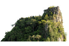 Rock Mountain Hill With  Green Forest Isolate On White Background