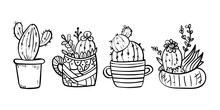 Cacti Blooming With Spikes. Coloring Page For Children And Adults. - Vector. Vector Illustration